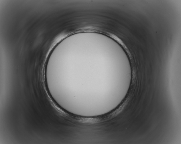 X0000085041474200703051016
