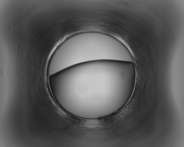 X0000085041477200703051015