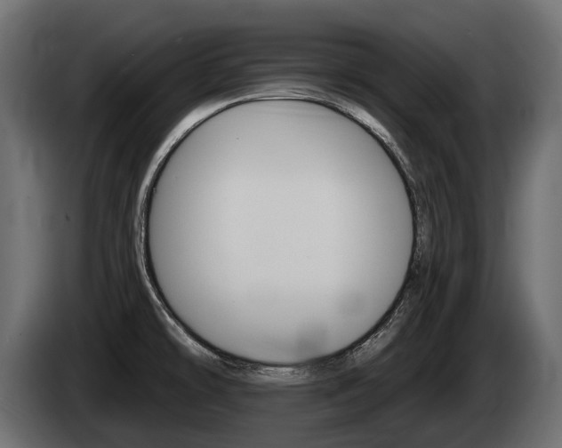 X0000085041478200703051015