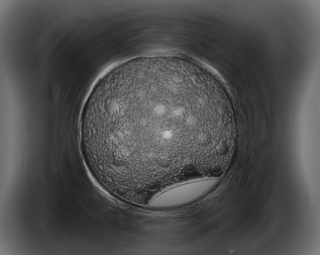 X0000085041479200703051015