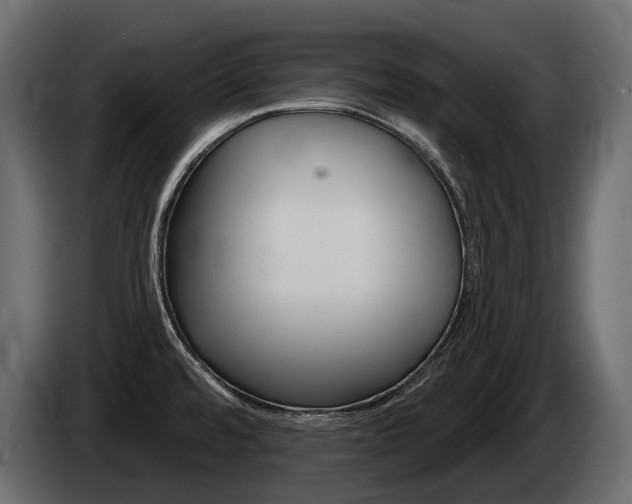 X0000085041480200703051015