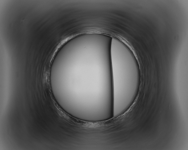 X0000085041481200703051015