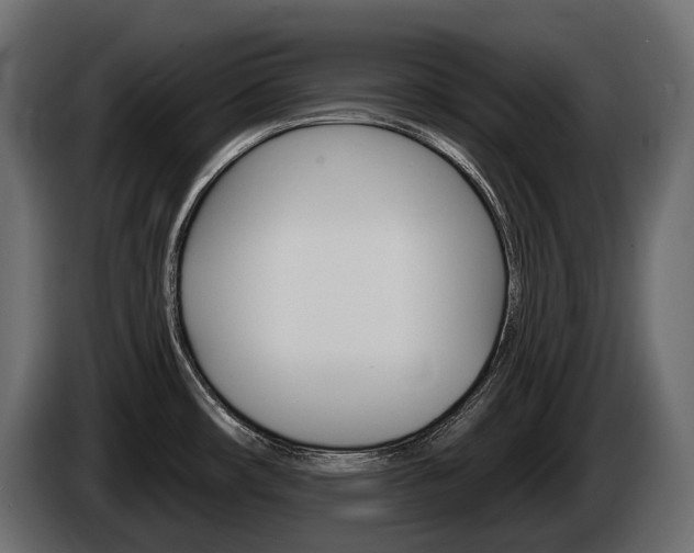 X0000085041482200703051015