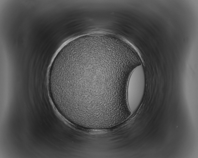 X0000085041483200703051015