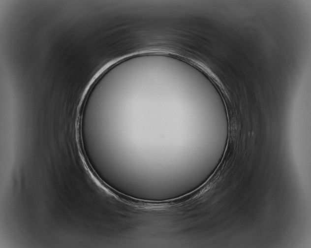 X0000085041484200703051015