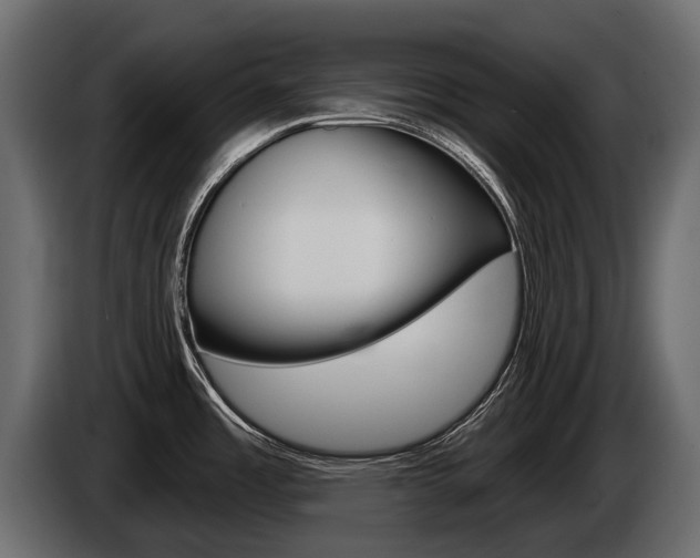 X0000085041485200703051015