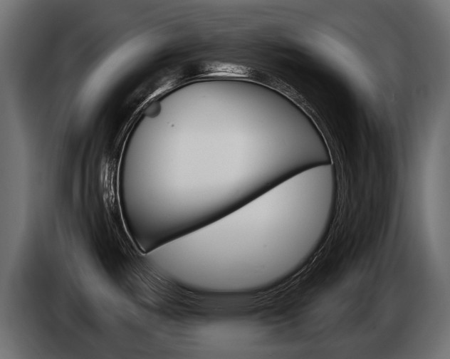 X0000085041487200703051015