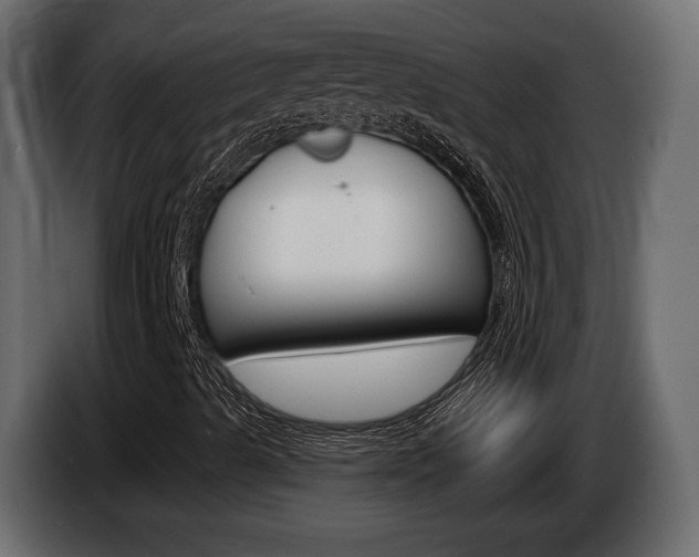 X0000085041489200703051015