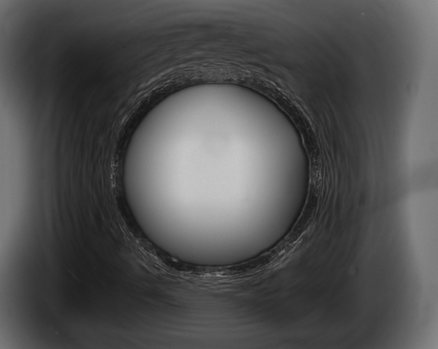 X0000085041490200703051015