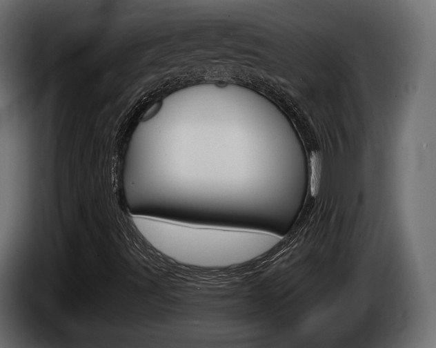 X0000085041491200703051015