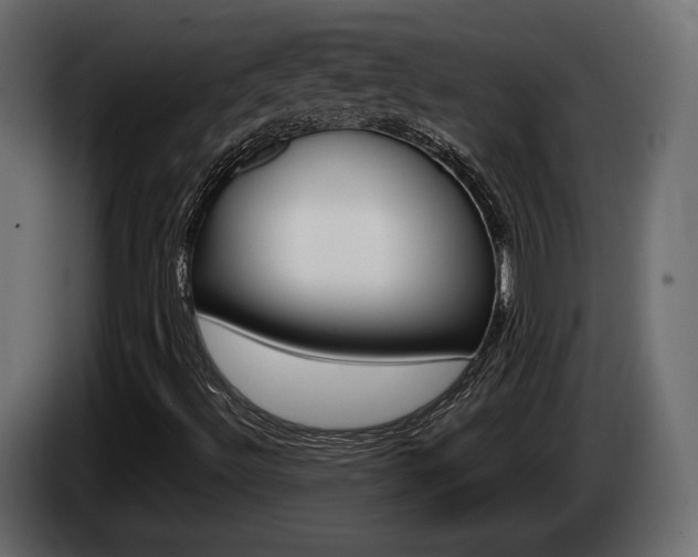 X0000085041492200703051015