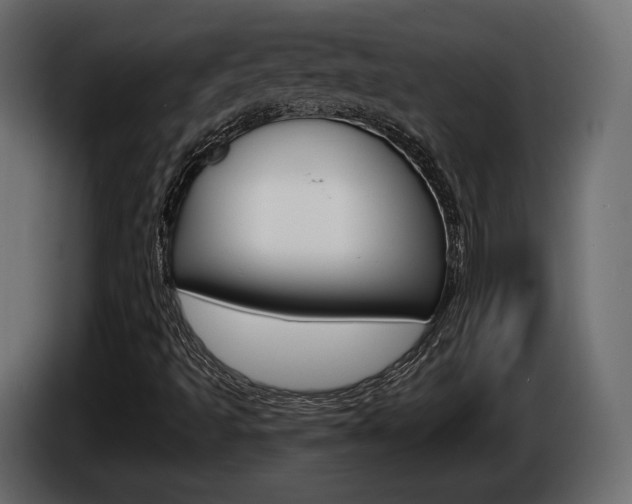 X0000085041493200703051015