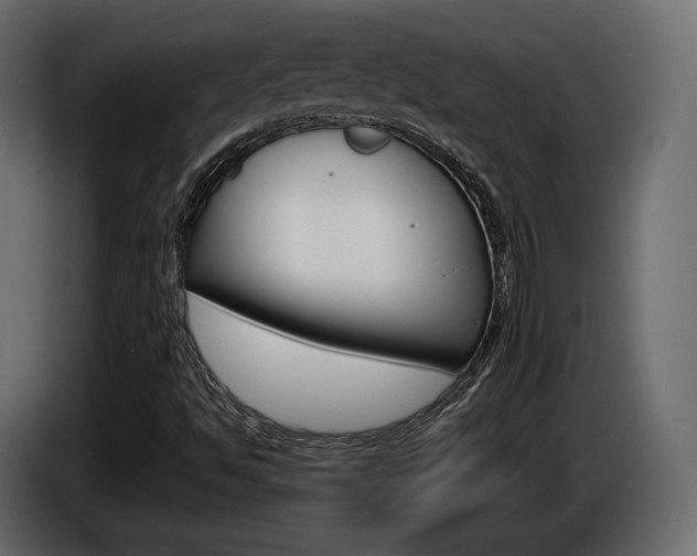 X0000085041494200703051015