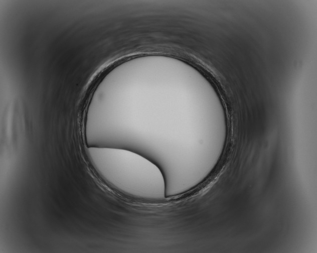 X0000085041498200703051015