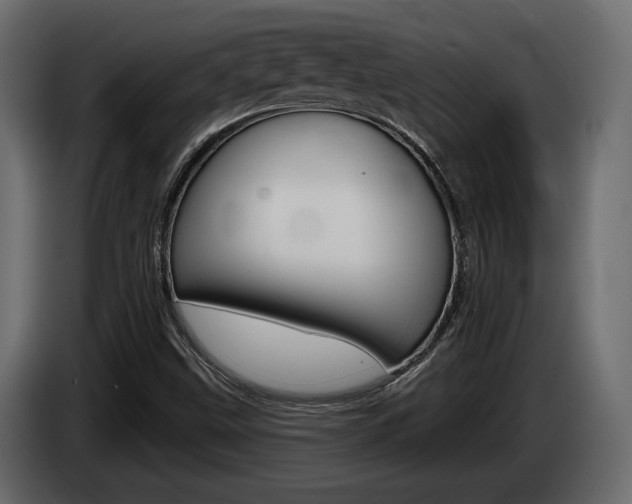 X0000085041499200703051015