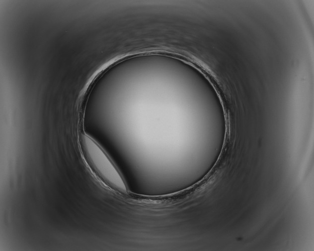 X0000085041500200703051015