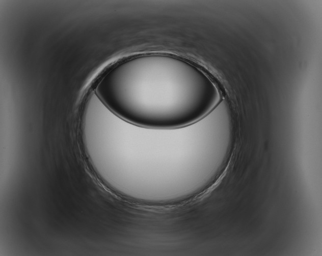 X0000085041502200703051015