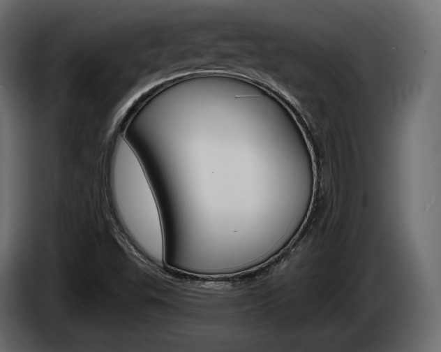 X0000085041503200703051015
