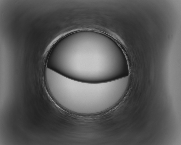 X0000085041504200703051015