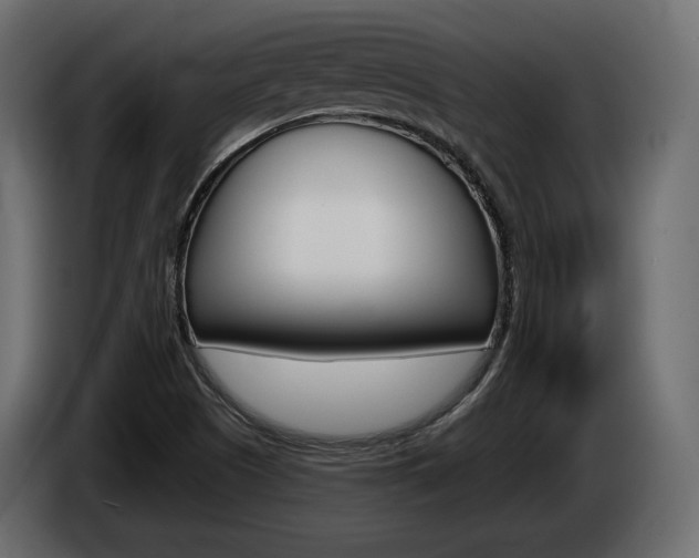 X0000085041505200703051015