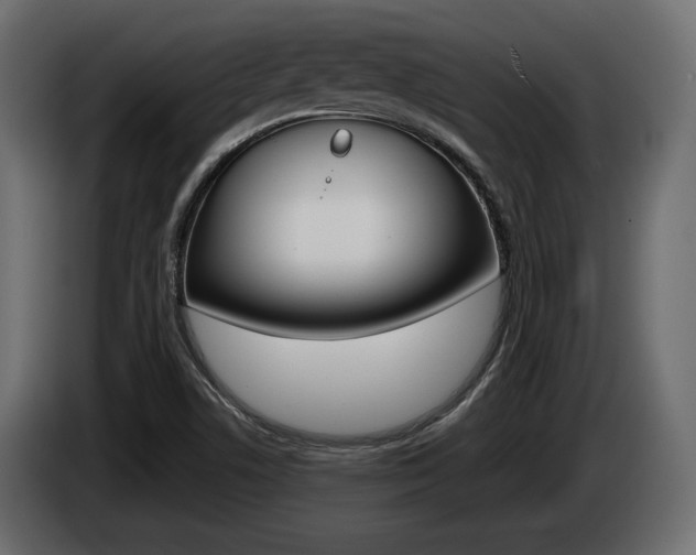 X0000085041506200703051015