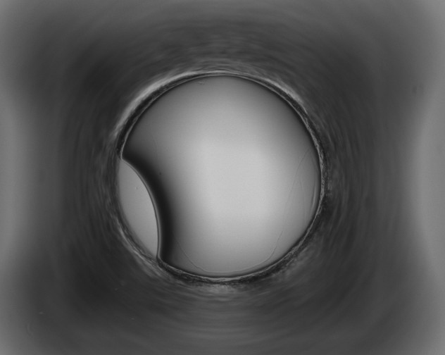X0000085041507200703051015