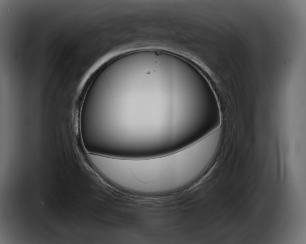 X0000085041510200703051015