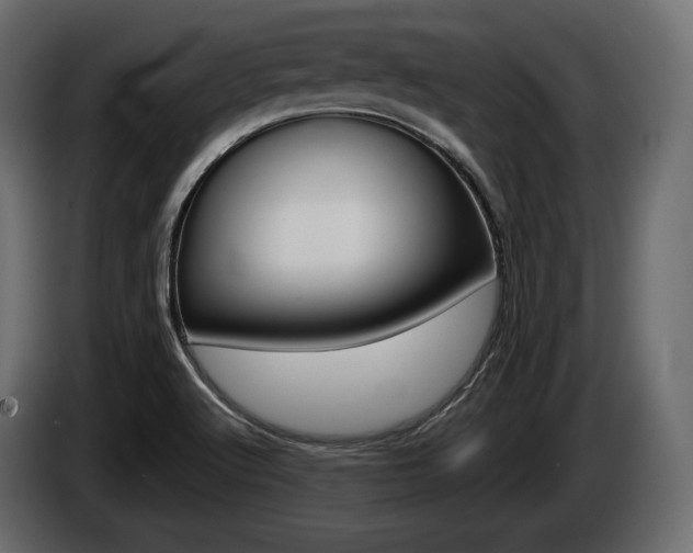 X0000085041512200703051015