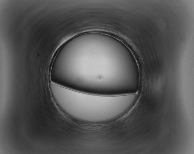 X0000085041513200703051015