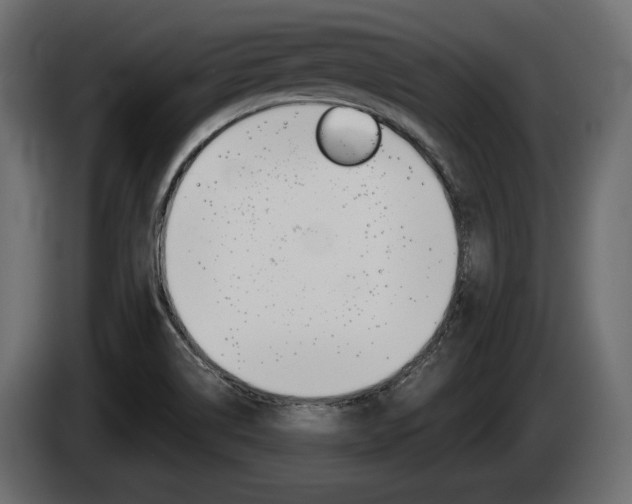 X0000085041514200703051015