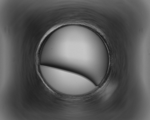 X0000085041517200703051015
