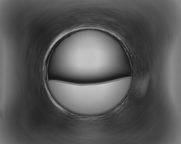 X0000085041519200703051015