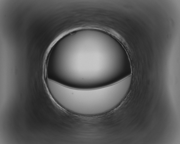 X0000085041520200703051015