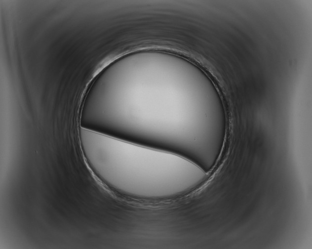 X0000085041521200703051015