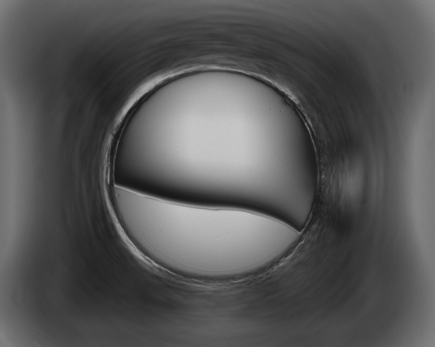 X0000085041523200703051015