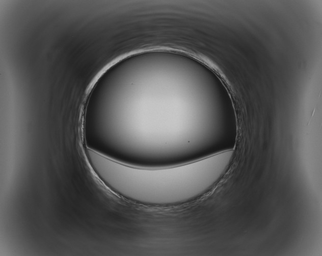 X0000085041524200703051015
