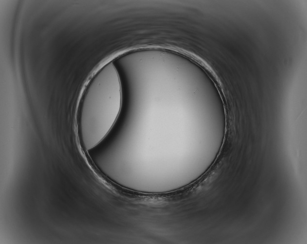 X0000085041525200703051015