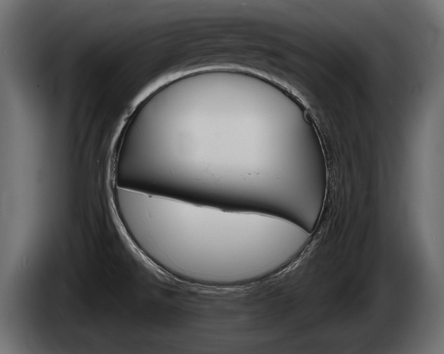 X0000085041526200703051015
