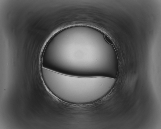 X0000085041527200703051015