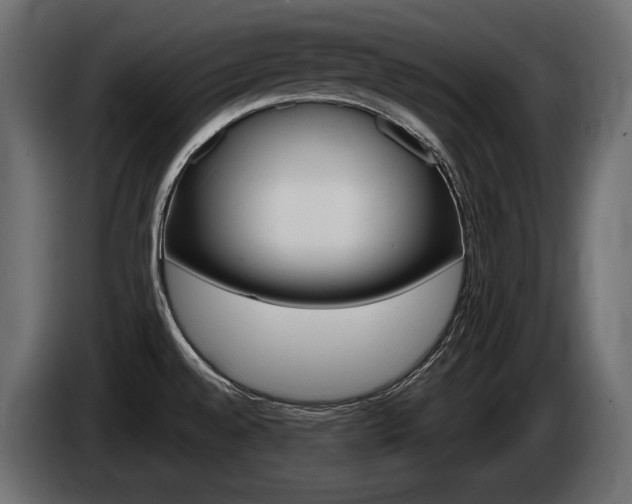 X0000085041528200703051015