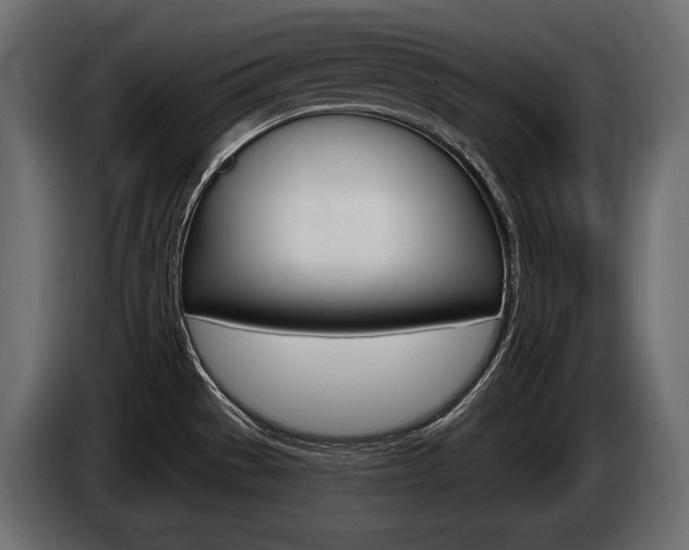 X0000085041529200703051015