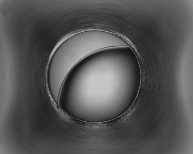 X0000085041530200703051015