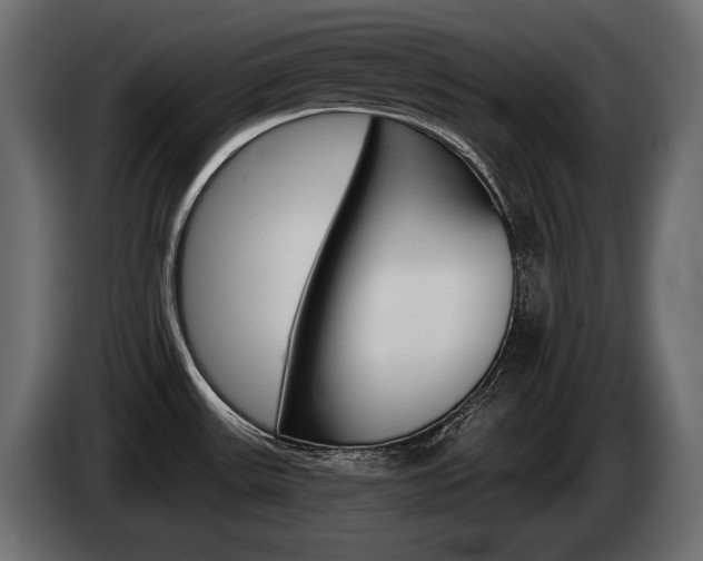 X0000085041531200703051015