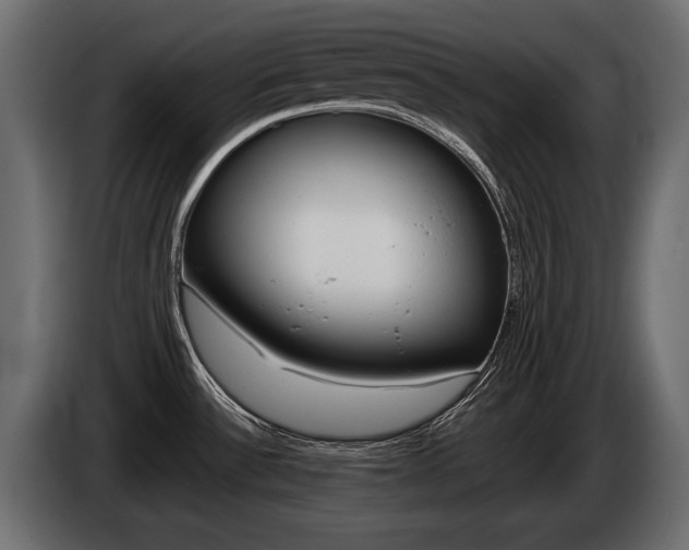 X0000085041532200703051015