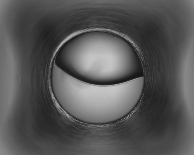X0000085041534200703051015