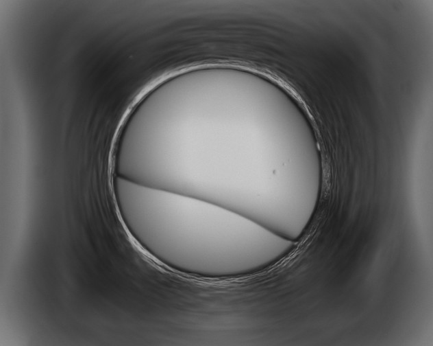 X0000085041535200703051015