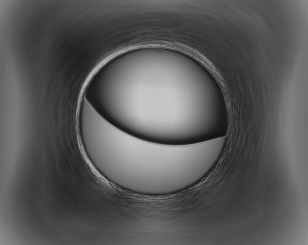 X0000085041536200703051015
