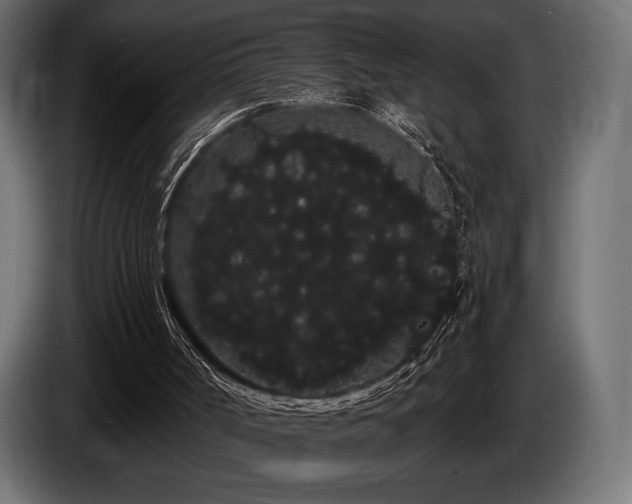 X0000085040002200703051402