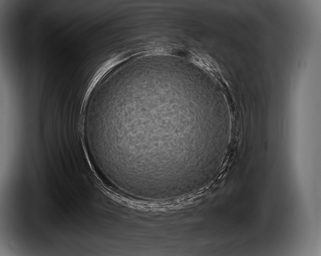 X0000085040003200703051402