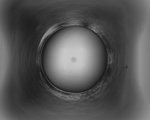 X0000085040004200703051402